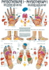 Physiotherapie I, DIN A2, Papier Reflexzonen-Hand/Fuß