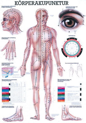 Körperakupunktur, ca. DIN A1, laminiert